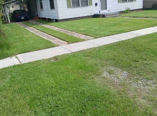 Erica B.'s turf care service result