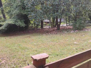 Vinh M.'s lawn care service result