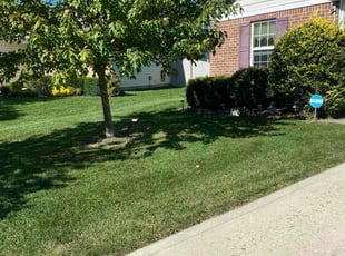Ernest N.'s lawn maintenance service result