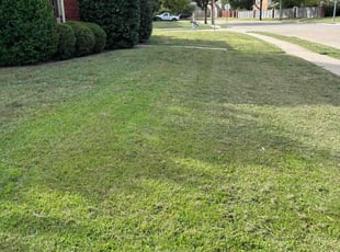 Hema M.'s lawn care services service result