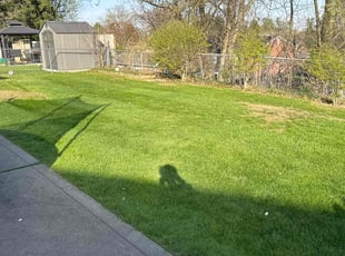 Kecia L.'s grass cutting service result