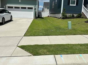 Norbert P.'s grass maintenance service result