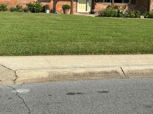 April B.'s lawn care service result