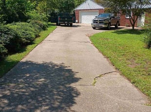 Frank F.'s turf care service result