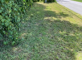 Christopher T.'s turf maintenance service result