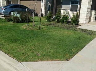 Douglas D.'s lawn maintenance service result