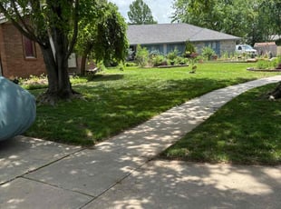 Brent S.'s yard work service result