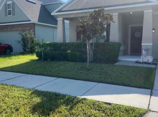 Shilpi K.'s lawn care services service result
