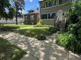 Tammanica M.'s turf care service result
