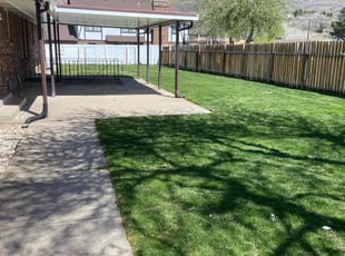 Lisa B.'s grass maintenance service result