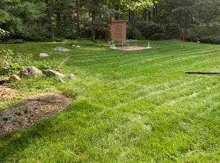 Rebecca F.'s turf maintenance service result