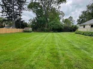 John T.'s lawn care services service result