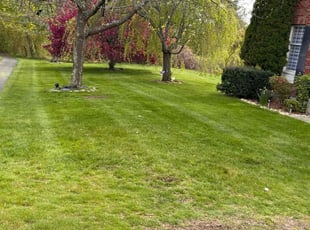 Matthew M.'s turf care service result