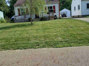 Barbara W.'s grass maintenance service result