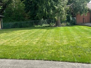 Reva B.'s lawn care service result