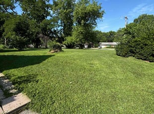 Donna P.'s grass cutting service result