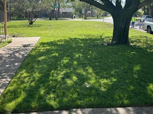 Jake M.'s lawn maintenance service result