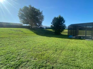 Matt J.'s turf maintenance service result