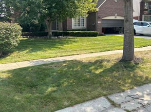 Grena B.'s turf maintenance service result