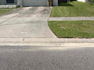 Carlene B.'s grass maintenance service result