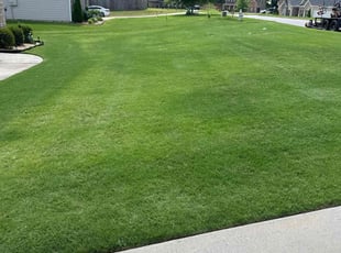 Toby K.'s lawn maintenance service result
