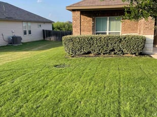 Louis B.'s lawn maintenance service result