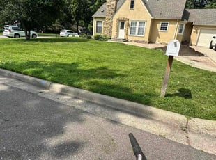 Alison L.'s lawn care service result