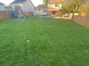 Ray K.'s lawn care services service result