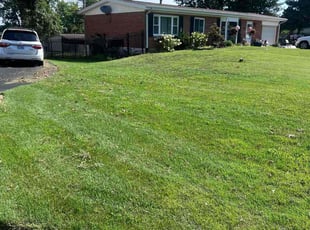 James C.'s gardening service service result