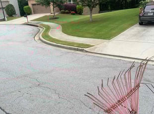 Jacqueline B.'s lawn service service result