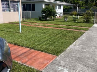 Mercedes B.'s grass maintenance service result
