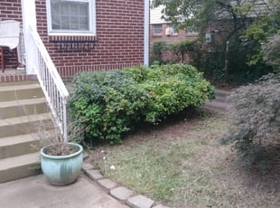 Jerry G.'s Bush Trimming service result