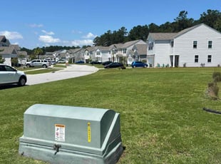 Randy D.'s grass cutting service result