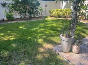 Carmen U.'s lawn care service result
