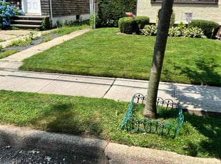 Christopher M.'s lawn care services service result