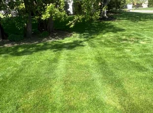 Craig S.'s residential landscaping service result