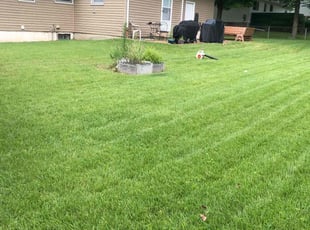 Deana G.'s grass cutting service result