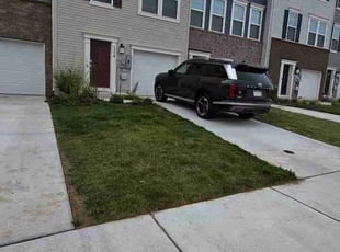 Jamarion J.'s grass maintenance service result