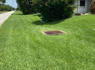 Laura B.'s lawn care services service result