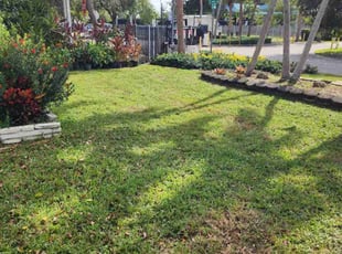 Jason F.'s yard work service result