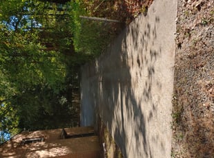 Steedin P.'s Bush Trimming service result