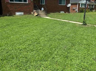 Melba B.'s grass maintenance service result