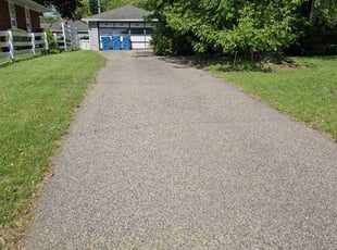 Illia T.'s grass maintenance service result
