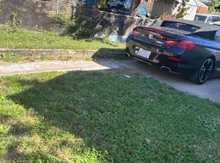 Mona P.'s lawn maintenance service result