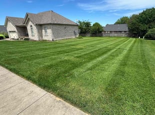 Whende S.'s lawn care service result