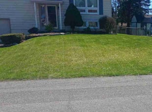 Christine K.'s lawn service service result