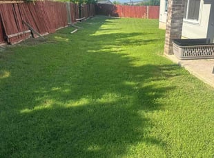 Christal V.'s turf maintenance service result