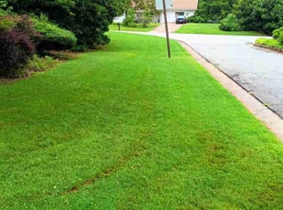 John H.'s turf maintenance service result