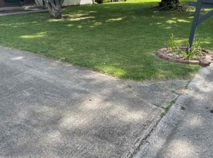 Mary R.'s turf maintenance service result