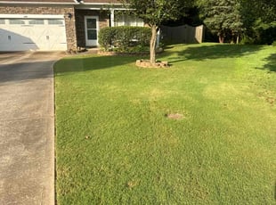 Kyle H.'s turf maintenance service result